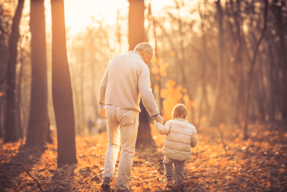 Grandfather and grandchild walking hand in hand through autumn woods
